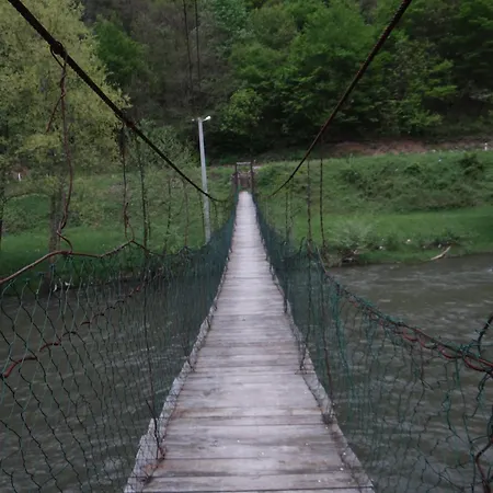Vrbas Dreams 別荘 Torlakovac